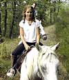 cliquer pour voir nos chevaux